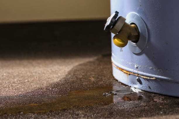 Carpet water damage restoration in TN