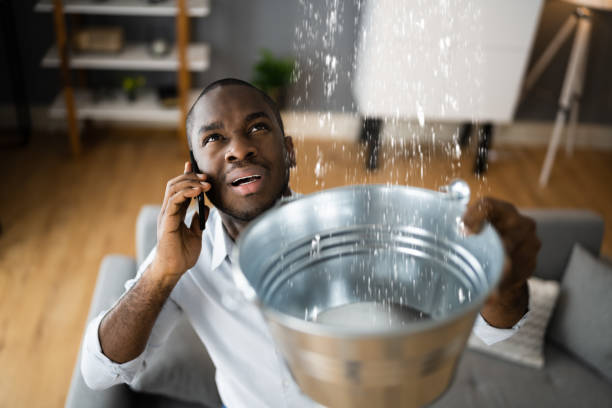 Best Sewage cleanup and water damage restoration  in Monterey, TN