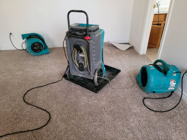 Best Ceiling water damage repair  in Monterey, TN