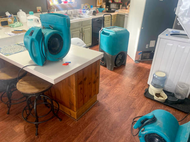 Best Water damage restoration near me  in Monterey, TN