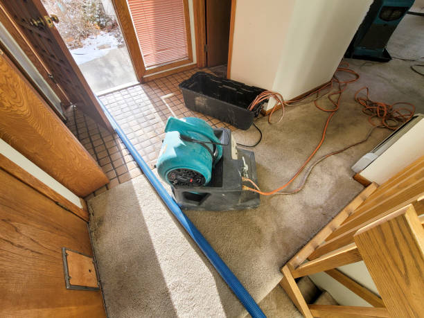 Best Local water damage restoration  in Monterey, TN