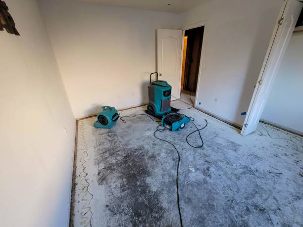  Monterey, TN Water damage restoration Pros