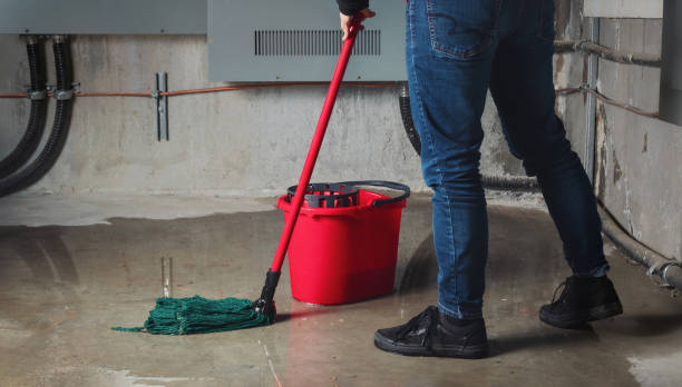 Best Basement water damage restoration  in Monterey, TN