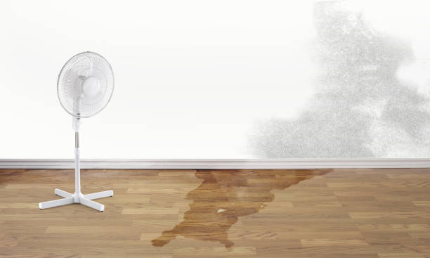24/7 water damage repair in TN
