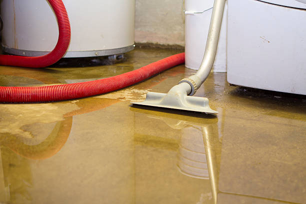 Best Sewage cleanup and water damage restoration  in Monterey, TN