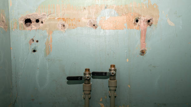 Best Residential water damage restoration  in Monterey, TN