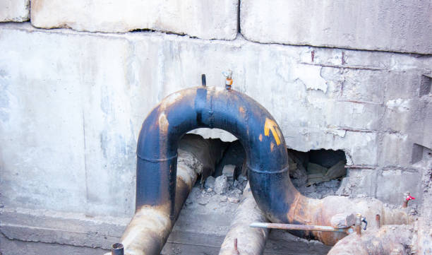 Best Water damage cleanup near me  in Monterey, TN